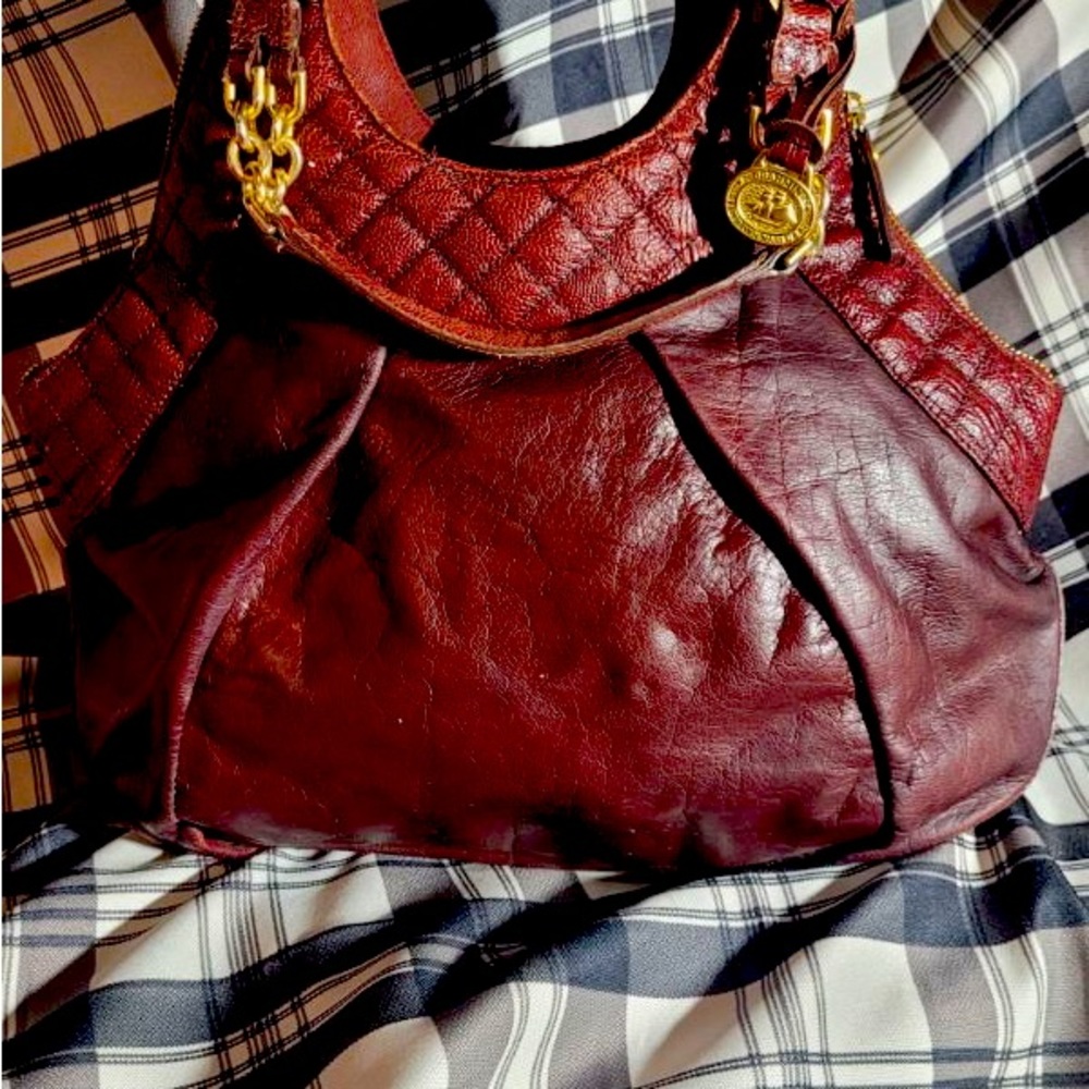 Brahmin - Picture 6 of 6